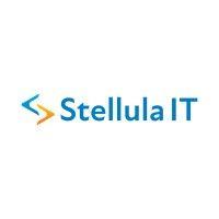 stellula it logo image