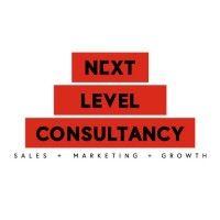 next level consultancy limited logo image