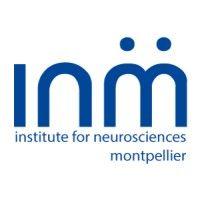 the institute for neurosciences of montpellier logo image