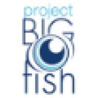 project big fish logo image