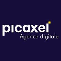 picaxel logo image