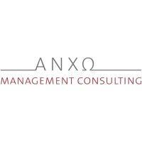 anxo management consulting gmbh logo image