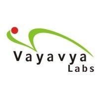 vayavya labs pvt. ltd. logo image