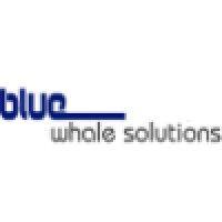 bluewhale solutions inc. logo image