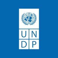 undp jordan logo image