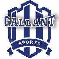 gallant sports india logo image