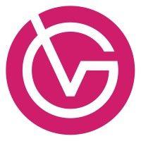 vg it services logo image