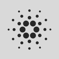 cardano foundation logo image