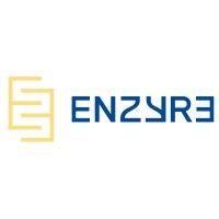 enzyre b.v. logo image