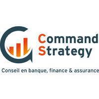 command strategy advisory logo image