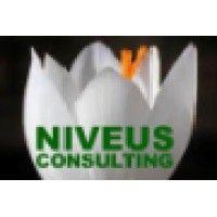 niveus consulting logo image