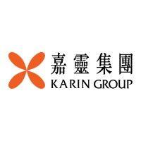 karin group logo image