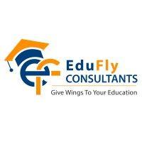 edufly consultants logo image