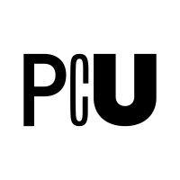 prague city university logo image