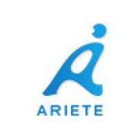 ariete group logo image