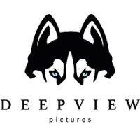 deepview pictures logo image