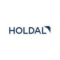 holdal group logo image