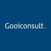 gooiconsult logo image