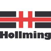 hollming ltd logo image