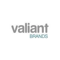 valiant enterprises logo image