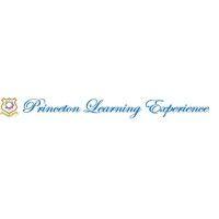 princeton learning experience logo image