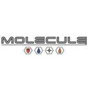 logo of Molecule