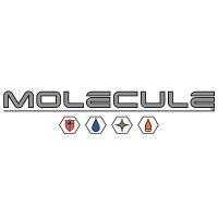 molecule logo image