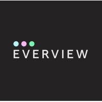 everview consulting group logo image