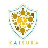 kaisura, inc. logo image