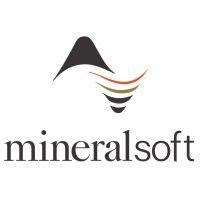 mineralsoft logo image