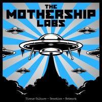 the mothership labs logo image