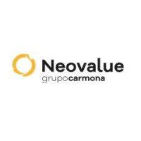 neovalue logo image