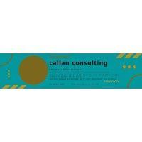 callan consulting fz llc