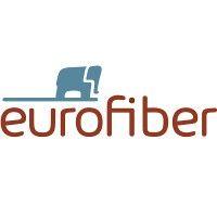 eurofiber logo image