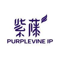 purplevine ip logo image