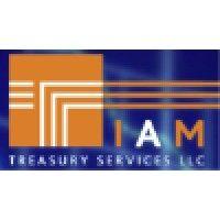 iam treasury services llc logo image