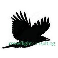 crowflight consulting logo image