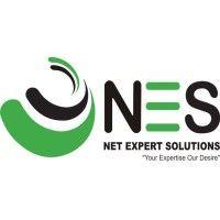 net expert solutions logo image