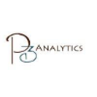 p3 analytics logo image