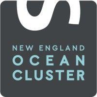 new england ocean cluster logo image