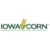 iowa corn logo image