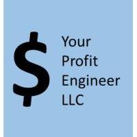 your profit engineer llc logo image