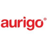 aurigo software technologies - india logo image