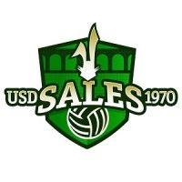 usd sales logo image