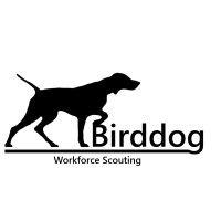 birddog workforce scouting logo image