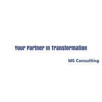 ms consulting global logo image