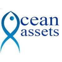 ocean assets - bluedeals logo image