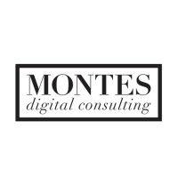 montes digital consulting logo image