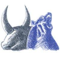 bull & bear, lp logo image