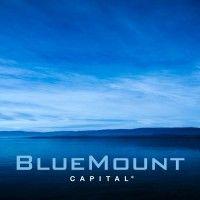 bluemount capital logo image